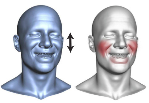 Enriching Facial Blendshape Rigs with Physical Simulation